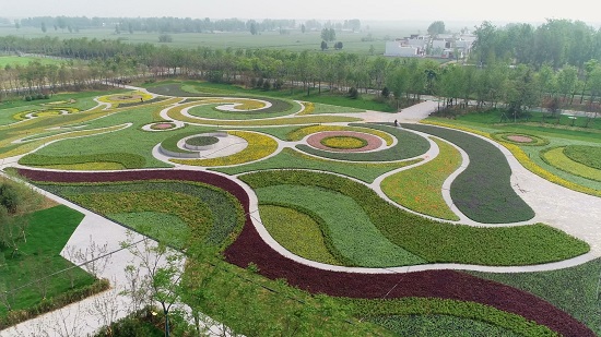 20190604南阳月季园北园星空花园摄影李英杰.jpg 20190604南阳月季园北园星空花园摄影李英杰.jpg