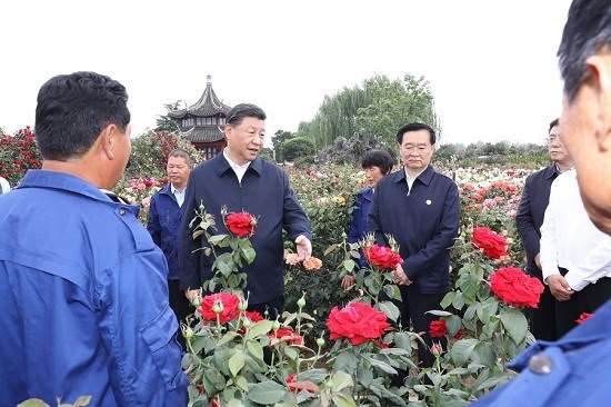【牢记使命 助力地方生态富民】习近平在河南南阳考察企业参与推动的月季产业发展